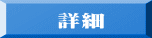 詳細