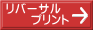 リバーサル       プリント
